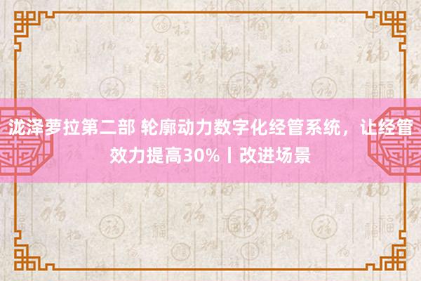 泷泽萝拉第二部 轮廓动力数字化经管系统，让经管效力提高30%丨改进场景