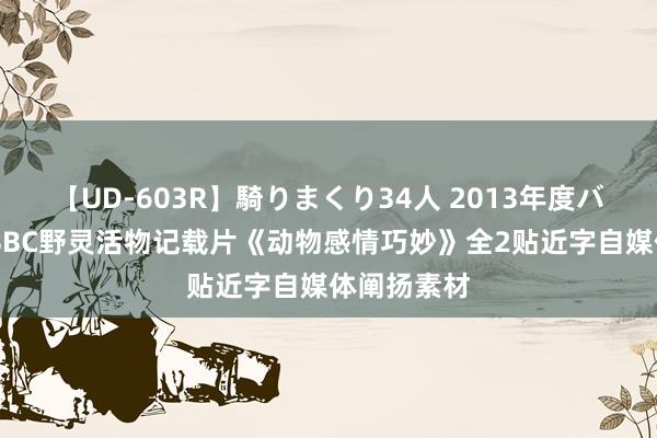 【UD-603R】騎りまくり34人 2013年度バージョン BBC野灵活物记载片《动物感情巧妙》全2贴近字自媒体阐扬素材