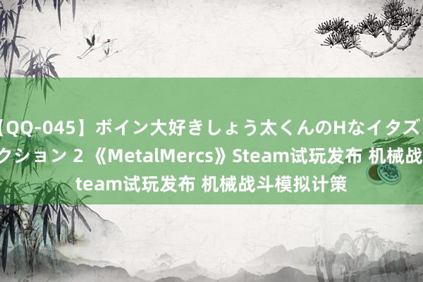 【QQ-045】ボイン大好きしょう太くんのHなイタズラ BESTセレクション 2 《MetalMercs》Steam试玩发布 机械战斗模拟计策