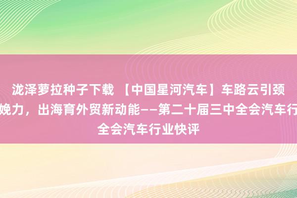 泷泽萝拉种子下载 【中国星河汽车】车路云引颈新质分娩力，出海育外贸新动能——第二十届三中全会汽车行业快评