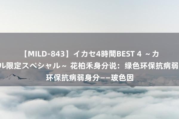 【MILD-843】イカセ4時間BEST 4 ～カリスマアイドル限定スペシャル～ 花柏禾身分说：绿色环保抗病弱身分——玻色因