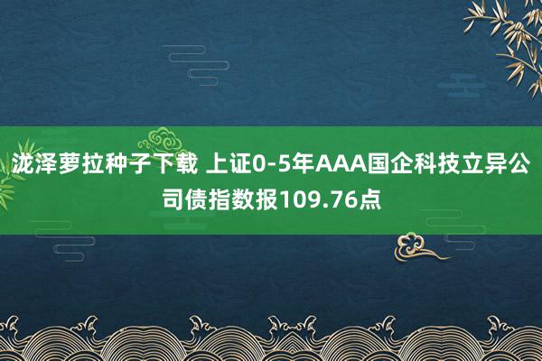 泷泽萝拉种子下载 上证0-5年AAA国企科技立异公司债指数报109.76点