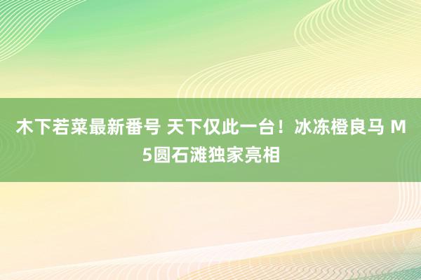 木下若菜最新番号 天下仅此一台！冰冻橙良马 M5圆石滩独家亮相