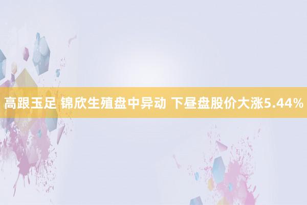 高跟玉足 锦欣生殖盘中异动 下昼盘股价大涨5.44%