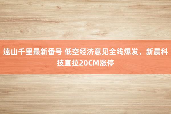 遠山千里最新番号 低空经济意见全线爆发，新晨科技直拉20CM涨停