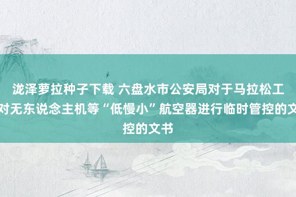 泷泽萝拉种子下载 六盘水市公安局对于马拉松工夫对无东说念主机等“低慢小”航空器进行临时管控的文书