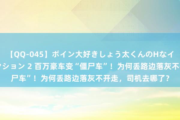 【QQ-045】ボイン大好きしょう太くんのHなイタズラ BESTセレクション 2 百万豪车变“僵尸车”！为何丢路边落灰不开走，司机去哪了？