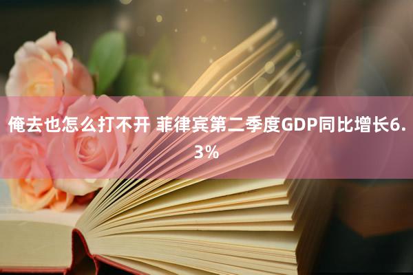 俺去也怎么打不开 菲律宾第二季度GDP同比增长6.3%