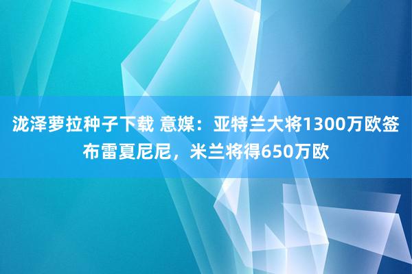 泷泽萝拉种子下载 意媒：亚特兰大将1300万欧签布雷夏尼尼，米兰将得650万欧