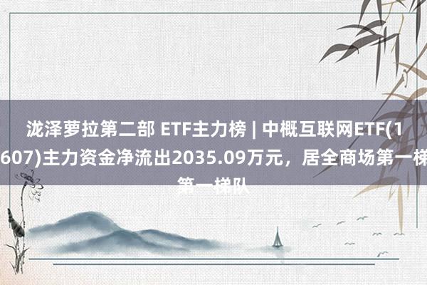 泷泽萝拉第二部 ETF主力榜 | 中概互联网ETF(159607)主力资金净流出2035.09万元，居全商场第一梯队