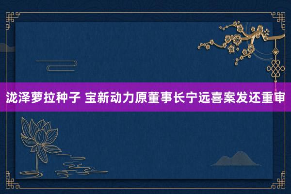 泷泽萝拉种子 宝新动力原董事长宁远喜案发还重审