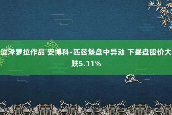 泷泽萝拉作品 安博科-匹兹堡盘中异动 下昼盘股价大跌5.11%