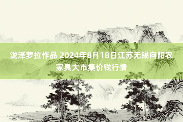 泷泽萝拉作品 2024年8月18日江苏无锡向阳农家具大市集价钱行情