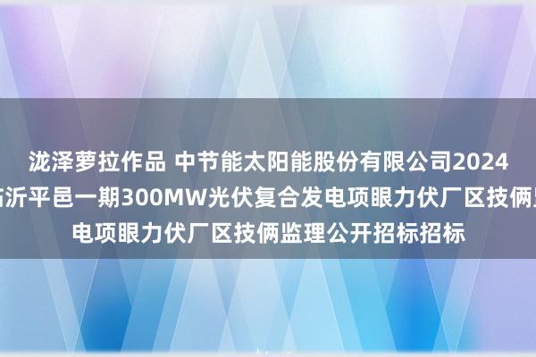 泷泽萝拉作品 中节能太阳能股份有限公司2024年中节能太阳能临沂平邑一期300MW光伏复合发电项眼力伏厂区技俩监理公开招标招标