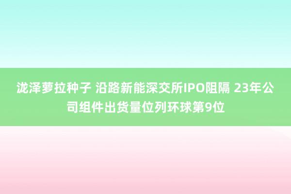 泷泽萝拉种子 沿路新能深交所IPO阻隔 23年公司组件出货量位列环球第9位