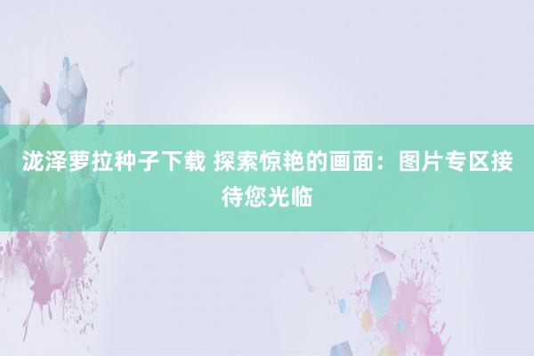 泷泽萝拉种子下载 探索惊艳的画面：图片专区接待您光临