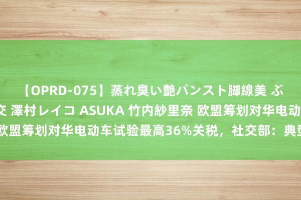 【OPRD-075】蒸れ臭い艶パンスト脚線美 ぶっかけゴックン大乱交 澤村レイコ ASUKA 竹内紗里奈 欧盟筹划对华电动车试验最高36%关税，社交部：典型保护观点