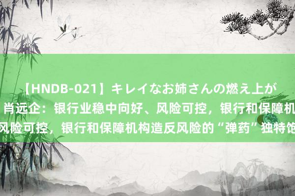 【HNDB-021】キレイなお姉さんの燃え上がる本物中出し交尾4時間 肖远企：银行业稳中向好、风险可控，银行和保障机构造反风险的“弹药”独特饱和