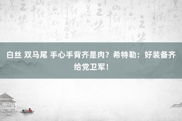 白丝 双马尾 手心手背齐是肉？希特勒：好装备齐给党卫军！