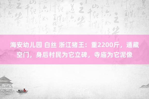 海安幼儿园 白丝 浙江猪王：重2200斤，遁藏空门，身后村民为它立碑，寺庙为它泥像