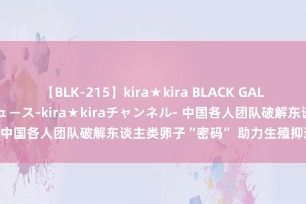 【BLK-215】kira★kira BLACK GAL 黒ギャル・EMIRIプロデュース-kira★kiraチャンネル- 中国各人团队破解东谈主类卵子“密码” 助力生殖抑遏疾病诊疗