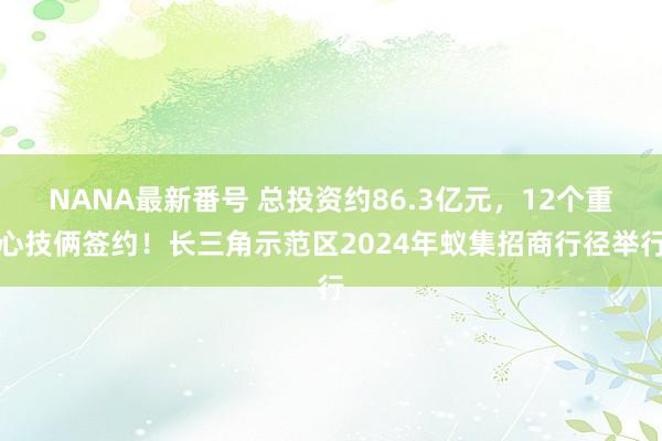 NANA最新番号 总投资约86.3亿元，12个重心技俩签约！长三角示范区2024年蚁集招商行径举行