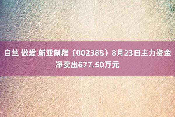 白丝 做爱 新亚制程（002388）8月23日主力资金净卖出677.50万元