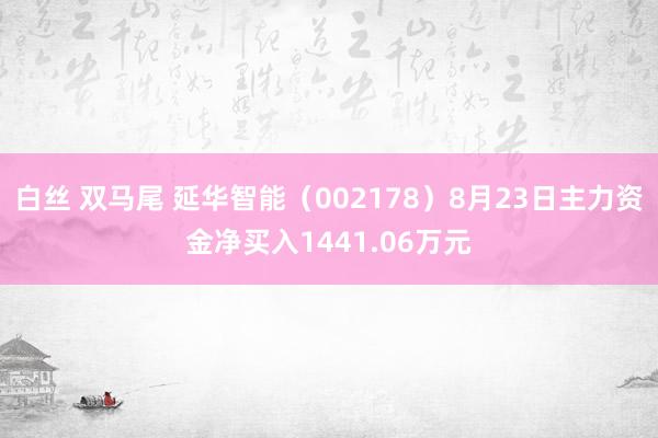 白丝 双马尾 延华智能（002178）8月23日主力资金净买入1441.06万元