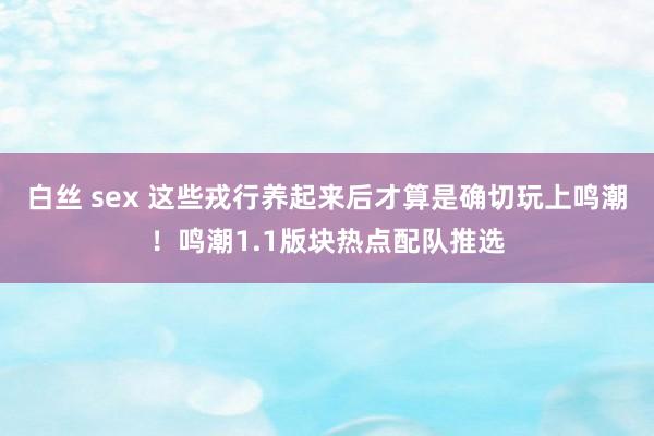 白丝 sex 这些戎行养起来后才算是确切玩上鸣潮！鸣潮1.1版块热点配队推选