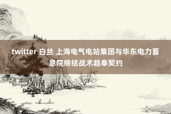 twitter 白丝 上海电气电站集团与华东电力蓄意院缔结战术趋奉契约